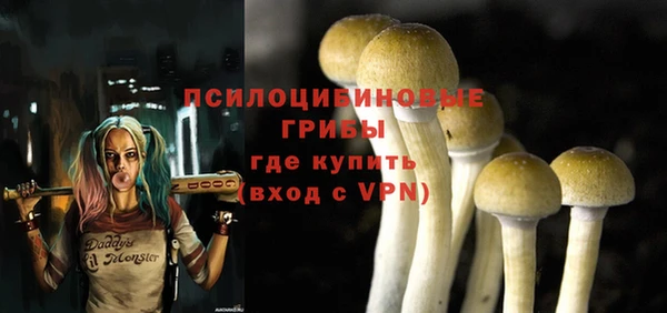 каннабис Арсеньев