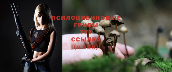 a pvp Армянск