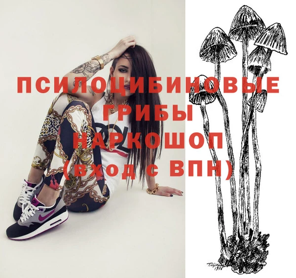 a pvp Армянск