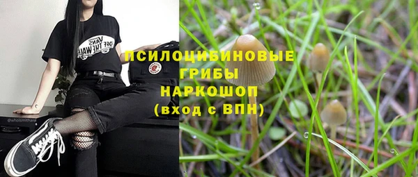 каннабис Арсеньев